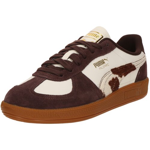 Puma Nizke superge 'Palermo' temno rjava / bela Cene