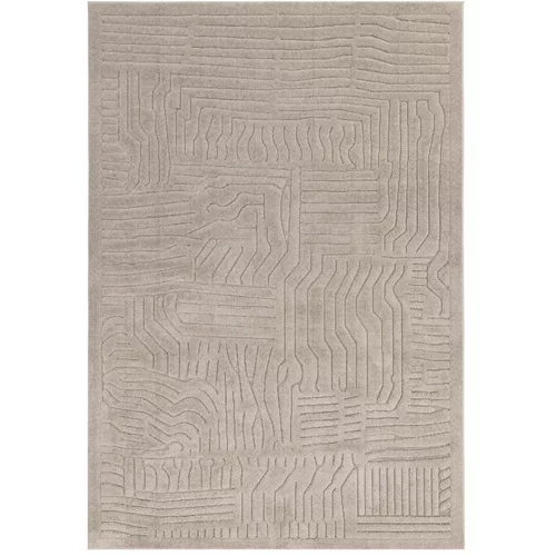 Asiatic Carpets Bež preproga 120x170 cm Valley –