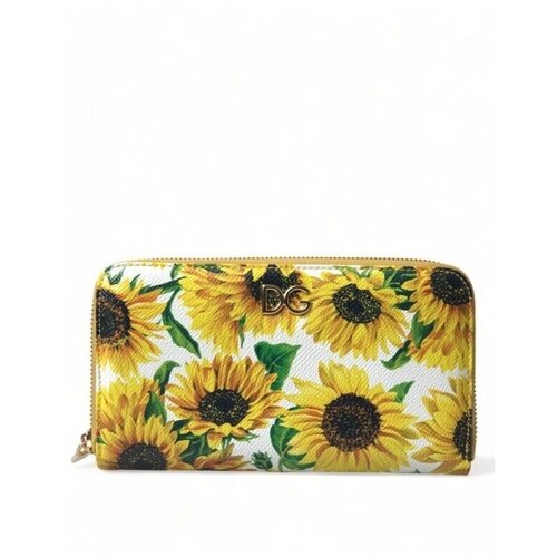 D&g Denarnice BI0473AA590 pisana Cene