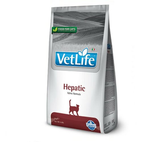 vetlife cat hepatic 0.4kg Slike
