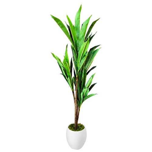 Master Cvijeće ukrasno umjetno 100cm Dracena 754-76-4 Cene
