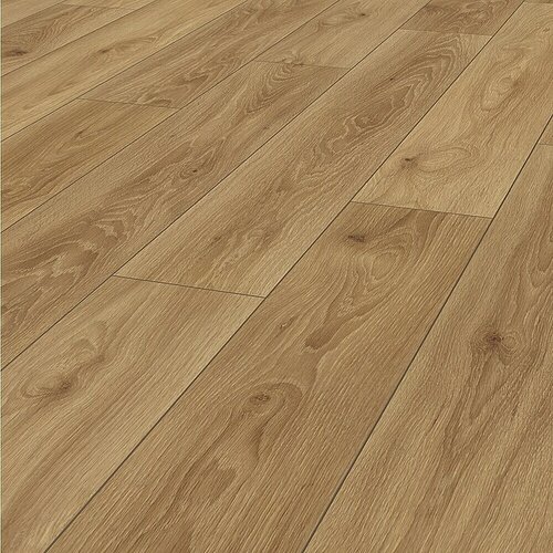  Laminat Comet hrast (D x Š x D: 1.288 x 195 x 8 mm, Rustikalni pod) Cijene