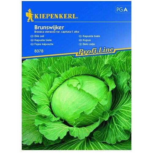 KIEPENKERL Profi-Line Zelenjavna semena belo zelje Brunswijker (Brassica oleracea var. capitata f. alba, Čas žetve: Julij) Cene