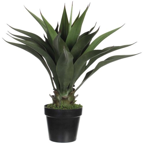 MICA AGAVA V ZELENEM LONCU - H60XD25CM Cene