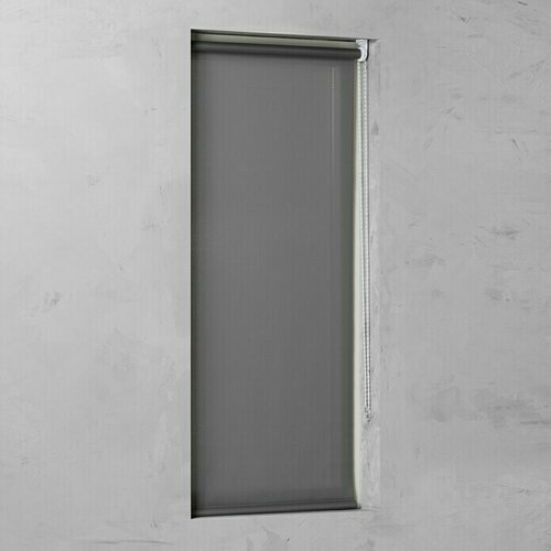 Rolo Basic (Š x V: 60 x 175 cm, Sive boje, Propusno za danje svjetlo) Cijene