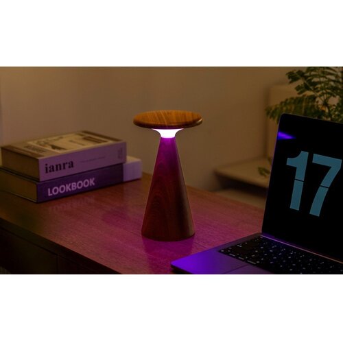Gingko LED namizna svetilka v temni naravni barvi z lesenim senčilom (višina 21 cm) Sylva – Cene