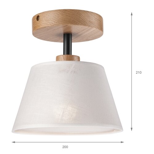  Plafonski luster ANTONIO 1xE14/60W/230V, beli Slike