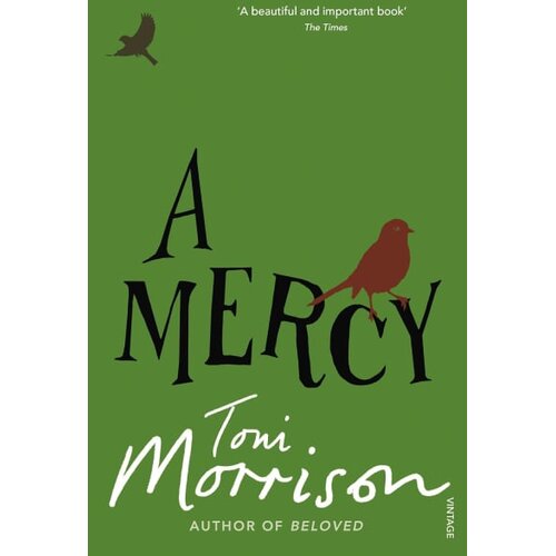 Penguin Random House Toni Morrison - A Mercy Cene