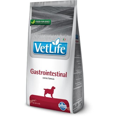 Vet Life dog gastrointestinal 12kg Slike