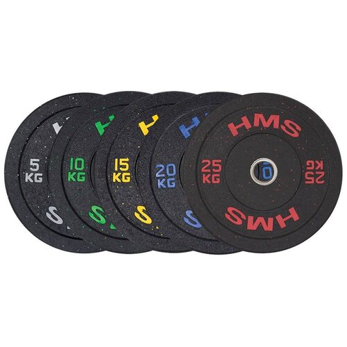  Htbr10 olimpijski ploč - branik 10 kg hms (zeleni) Cene