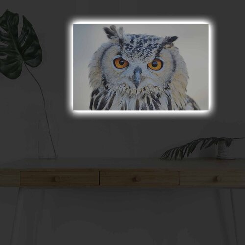 Wallity Zidna slika sa LED osvjetljenjem 4570DHDACT-142, 45x70 cm Cijene
