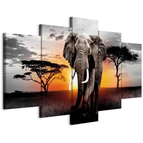  Slika - Elephant at Sunset 200x100 Standard Cene