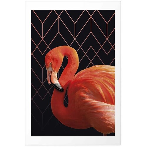  Plakat - Flamingo Solo 40x60 Bez okvira s margom Slike