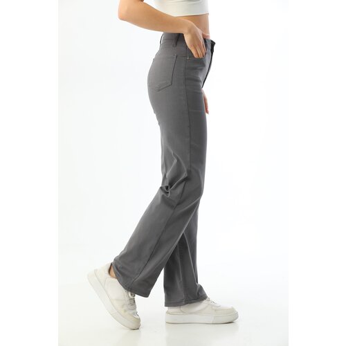 BİKELİFE Pants - Gray - Wide leg Slike