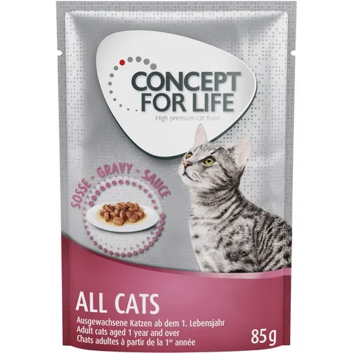 Concept for Life Indoor Cats - izboljšana receptura! - Kot dopolnilo: 12 x 85 g All Cats v omaki