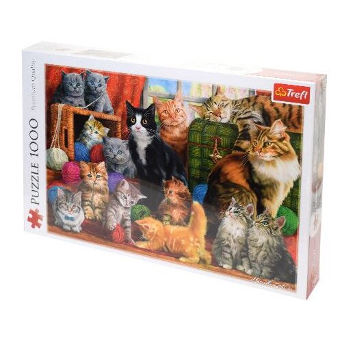Trefl 10555 puzzle Sestavljanka 1000 kos Ostalo Slike