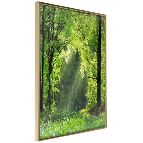  Poster - Forest Path 30x45 Slike