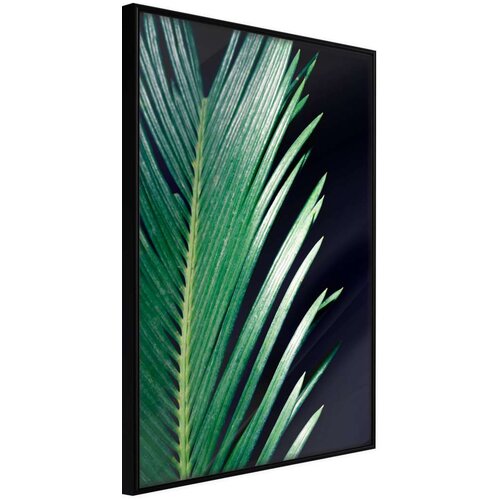  Poster - Soothing Green 30x45 Slike