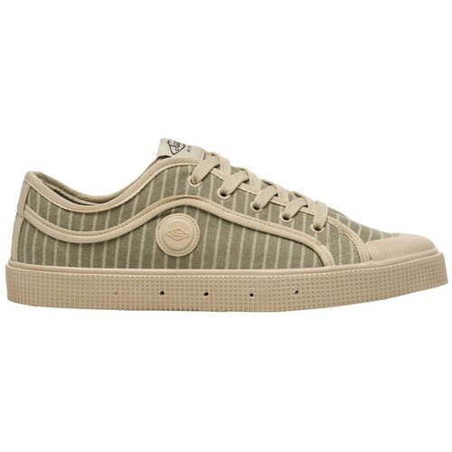 SANJO Nizke superge K200 Pinstripe - Matcha Zelena Cene