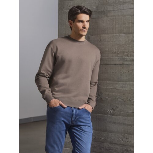 RUSSELL Authentic Brown Men's Sweatshirt Cene