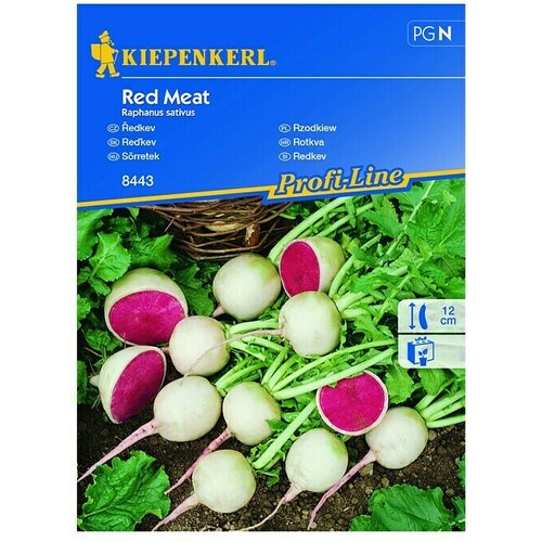KIEPENKERL Profi-Line Sjeme povrća Red meat (Raphanus sativus, Berba: Travanj, 4 m&amp;sup2;) Slike