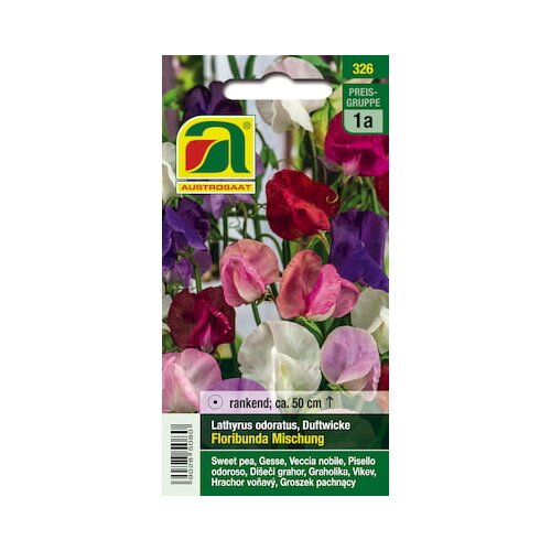 Mešanica dišečega grahora Floribunda Cene