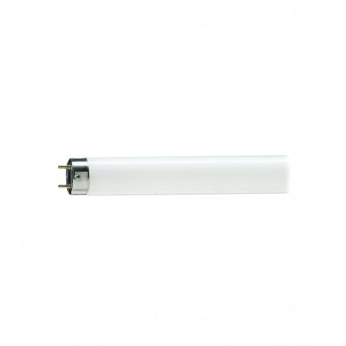 Osram Fluorescentna cijev L 58W-765LF Cijene