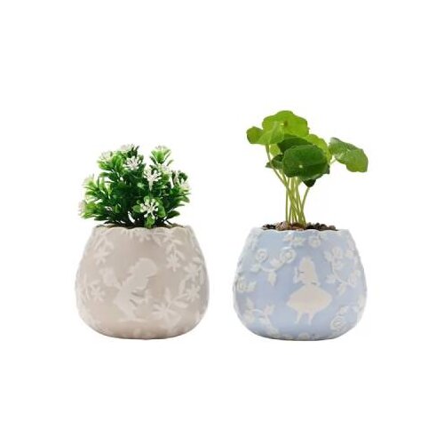 Widdop &amp;amp; Co. Alice in Wonderland, Disney - Dekoracija set 2 - Disney, Alice in Wonderland, Planters Slike