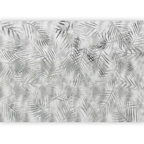  Foto tapeta - Minimalist landscape - nature motif with grey exotic leaves 441x315 Slike