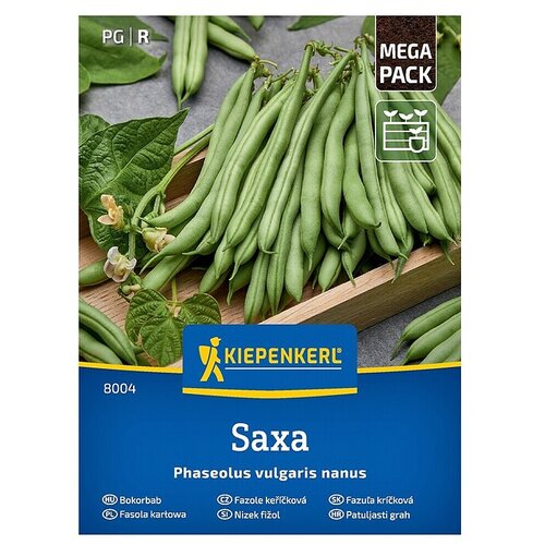 KIEPENKERL Zelenjavna semena Fižol Saxa (Phaseolus vulgaris, Čas žetve: Julij) Cene
