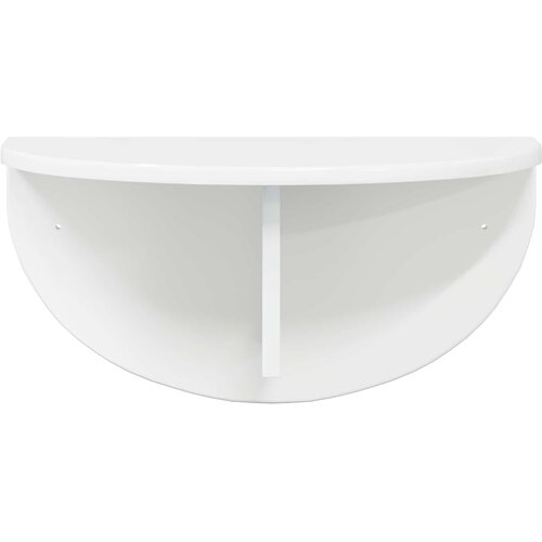  Polica na zidu Zidne 2 pcs Visoki sjaj bijela 48 x 24 x 24 cm Slike
