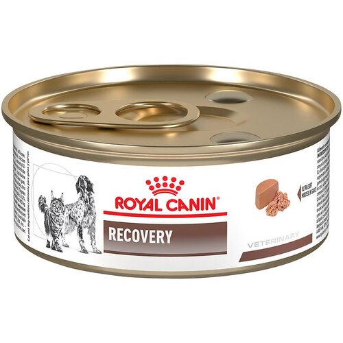 Royal Canin dog recovery feline/canine konzerva 195g Slike