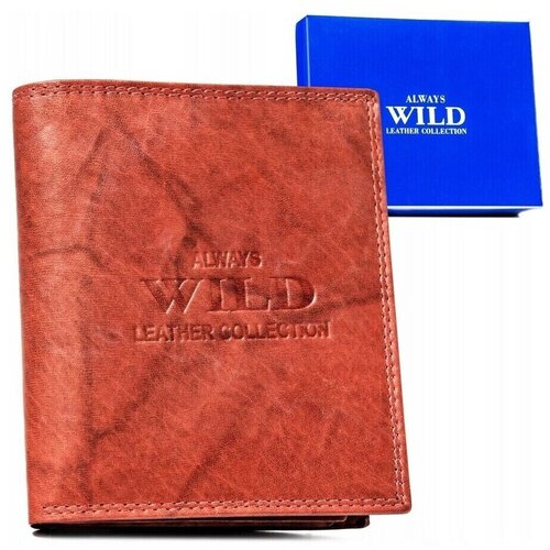 Always Wild AWN890MAL73636 sarena Cijene