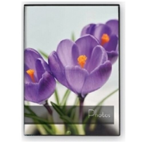 Zep mini foto album motiv šafran 10x15cm/40 slika MA4640 Cijene