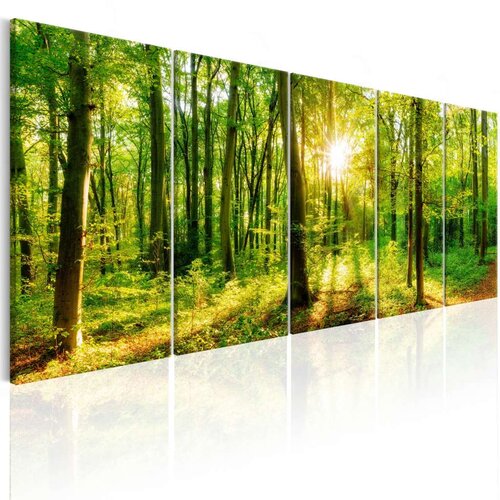  Slika - Magic Forest 200x80 Cijene