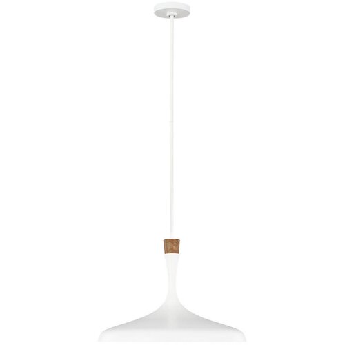 Elstead Lighting viseča svetilka Cene