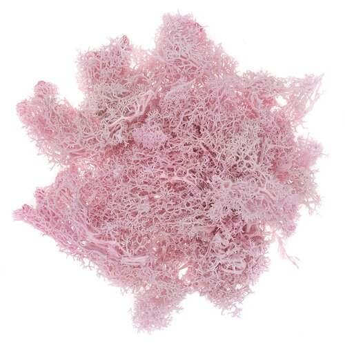  Prirodna mahovina 30 g | izaberi nijansu Cijene