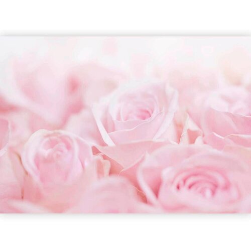 Artgeist Fototapeta Ocean Of Roses, 250x175cm Cene