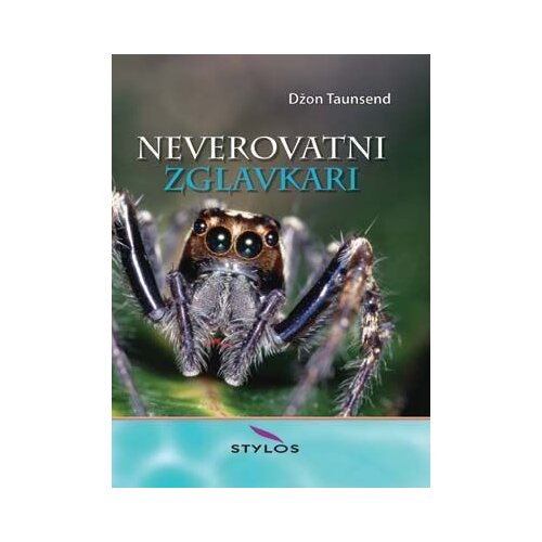Stylos Art Džon Taunsend - Neverovatni zglavkari Cene