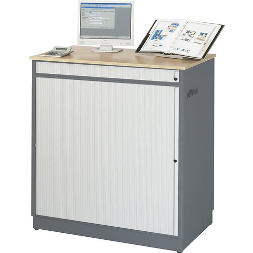 RAU računalniška omara, vxšxg 1100 x 1030 x 660 mm, antracitno kovinska / encijan modra Cene