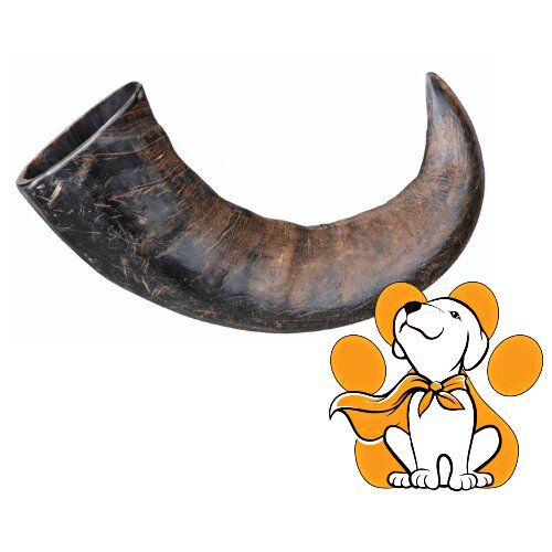 Trixie Genuine Buffalo Chewing Horn L, Poslastica Idealna Za Pse Sa Alergijama Cene