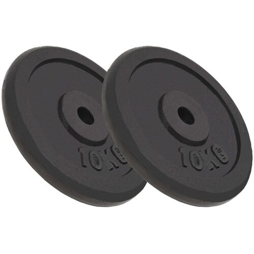 vidaXL Uteži 2 kosa 2x10 kg lito železo Cene