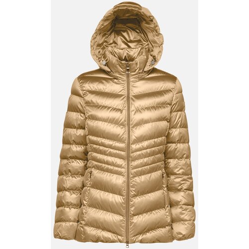 Geox Gold women&amp;#039;s jacket Zosma - Women&amp;#039;s Slike