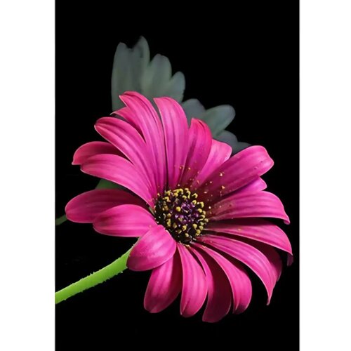 Magic Toys Dijamantna slagalica: Set za dijamantno slikanje Gerbera 10x15cm Cene