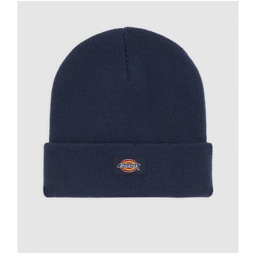 Dickies Kape Gibsland beanie Modra Slike