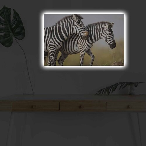 Wallity Slika sa LED osvetljenjem 4570DHDACT-085, 45x70 cm Cene