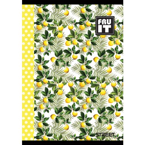 STREET Zvezek Fruits A4 karo Cene