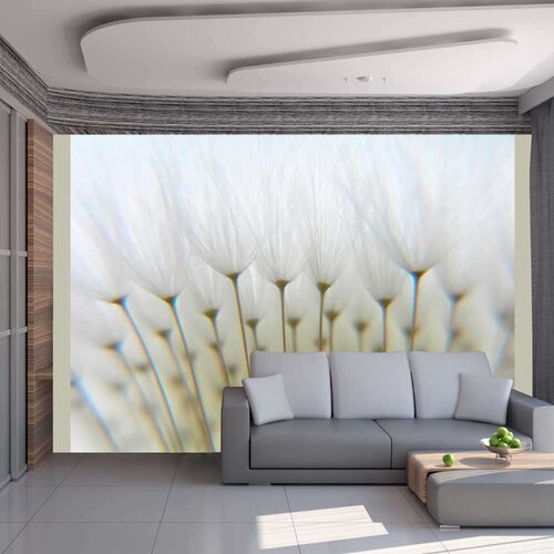  Tapeta - Dandelion forest 200x154 Slike