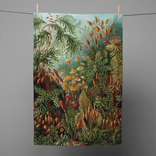 Madre Selva Kuhinjska krpa 70x50 cm Deep Forest - Madre Selva Cene