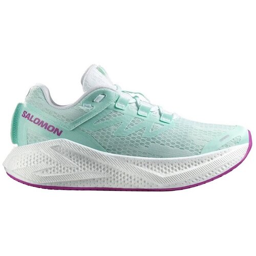 Salomon Aero Glide 3 sarena Slike